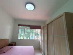 Rochdale Road (D19), Terrace #549137851